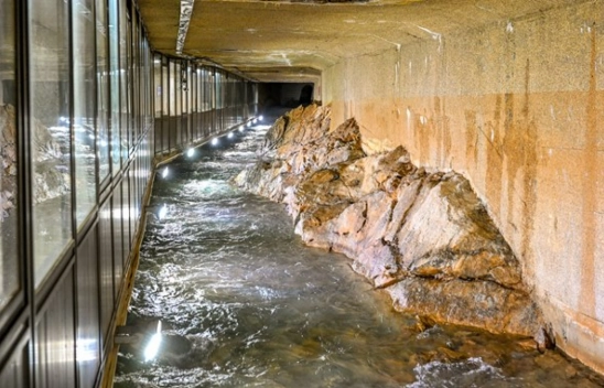 Başkan Gürkan, Suyumuz Rahatlıkla Tüketilebilir