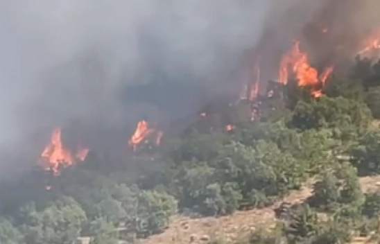 Doğanyol Burç Mahallesi'nde Orman Yangınına Müdahale Ediliyor