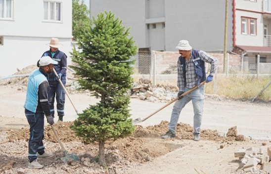Dolamantepe Mahallesi'nde Park Ve Yol Düzenlemesi