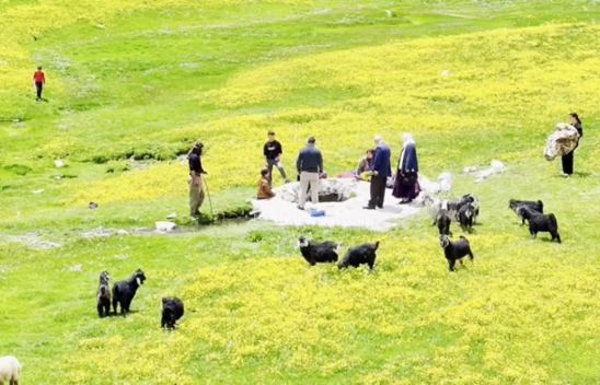 Havanın ısınmasıyla Van'ın yaylalarındaki hareketlilik arttı