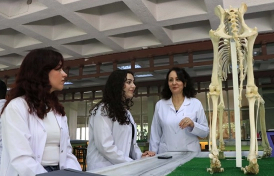 Hayvan İskeletlerine Dijital Hayat: Yapay Zekâ Devrede