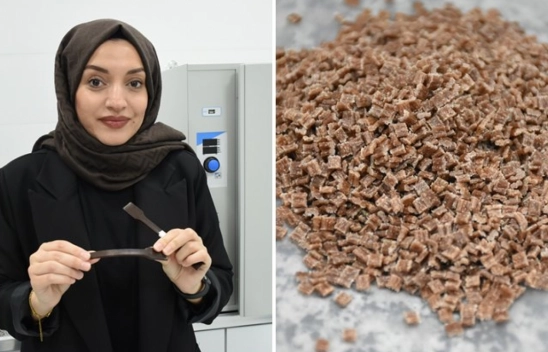 Kayısı çekirdeği kabuğundan biyoplastik üretildi