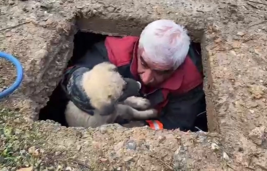 Kuyuya Düşen Köpeği İtfaiye Eri Kurtardı