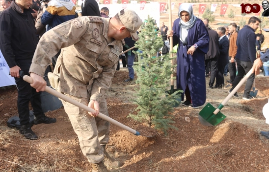 Malatya'da, Hayatını Kaybeden 1246 Kişi Anısına Fidan Dikildi.
