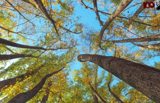 Malatya'da sonbahar renkleri hakim oldu