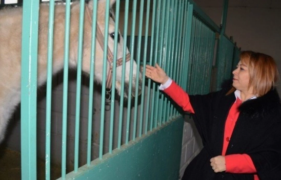 MTÜ Atçılık ve Atlı Sporları Uygulama ve Araştırma Merkezi kuruldu