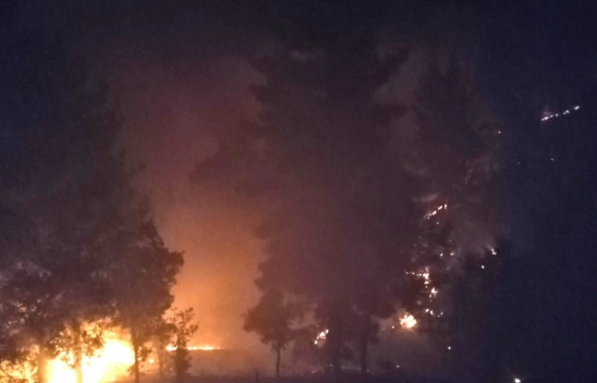 Pütürge'de 400 Dönüm ormanlık alan yandı