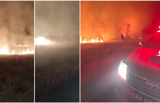 Pütürge'de Korkutan Arazi Yangını Büyümeden Söndürüldü