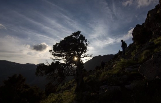 Sivas / Malatya (Dron) - Yama Dağı Yaylası