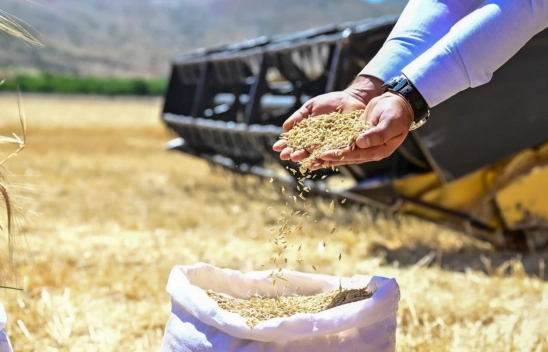 Tarıma Bir Destek Daha: Ücretsiz Arpalar Dağıtılacak