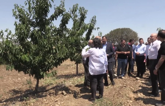 TBMM Komisyonu Eskişehir'de Zirai Don Zararını Yerinde İnceledi