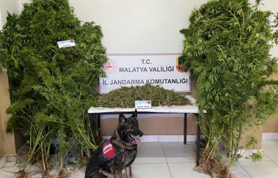 Uyuşturucu operasyonunda 2 zanlı tutuklandı