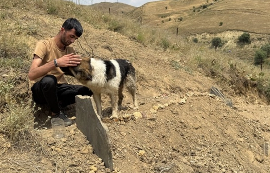 Yıllarca Birlikte Yaşadılar, Şimdi Mezar Başında Ayrılmıyor