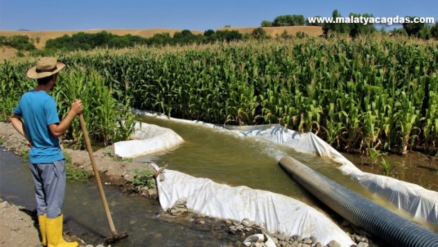 'Burada ürün alamazsın' söylemlerine kulak asmadı, 30 yıldır ekim yapılmayan alana silajlık mısır ekti