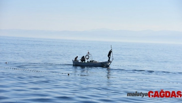 'Difana' yöntemi ile kefal avladılar