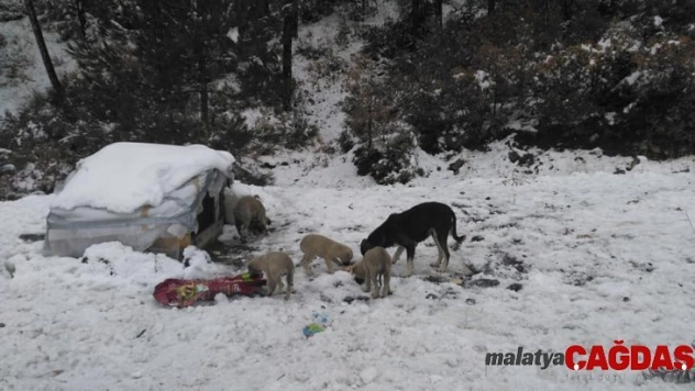 'Doğaya atık değil canlılara katık' projesi