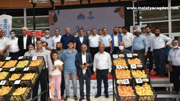 En iyi yaş kayısı yarışması yapıldı