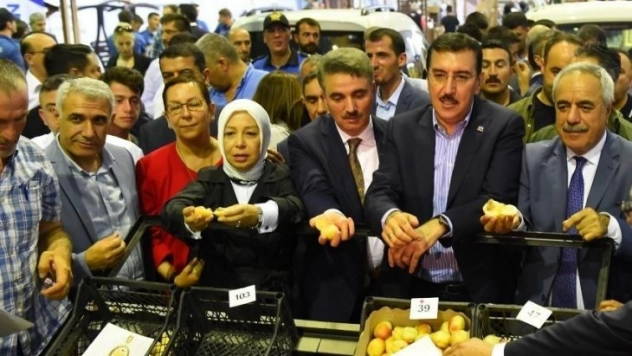 Güneşin altın yumurtası Kayısı Festivali başladı