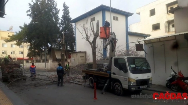 -Kilis'te cadde ve yollardaki ağaçların budanmaya devam ediliyor