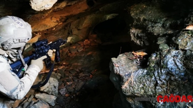 'Kıran-8 Sehi Ormanları Operasyonu' başlatıldı