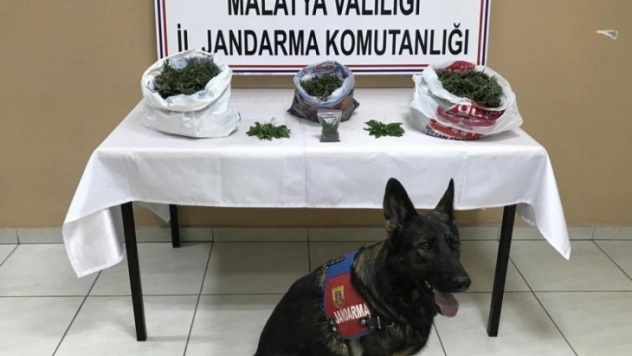 Kitap'tan uyuşturucu tacirlerine geçit yok