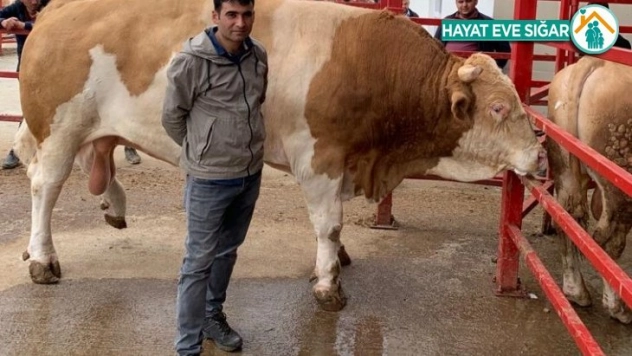 'Zeus' 919,6 kiloyla rekor kırdı