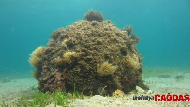 1. Dünya Savaşı'ndan kalma mühimmat imha edildi