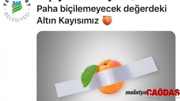 120 bin dolarlık muza kayısılı gönderme
