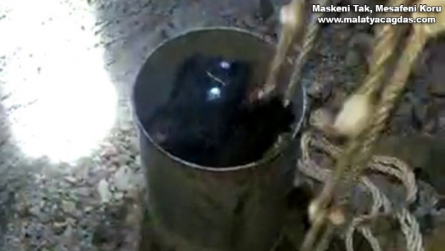 13 metrelik boruda sıkışan yavru kedileri itfaiye kurtardı