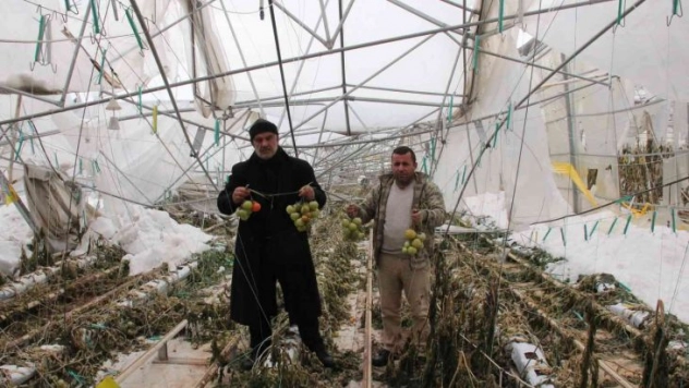 15 dönüm sera yerle bir oldu