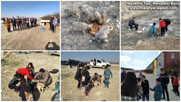 15 Temmuz Milli İrade Ocakları Sokak Hayvanlarını Unutmadı