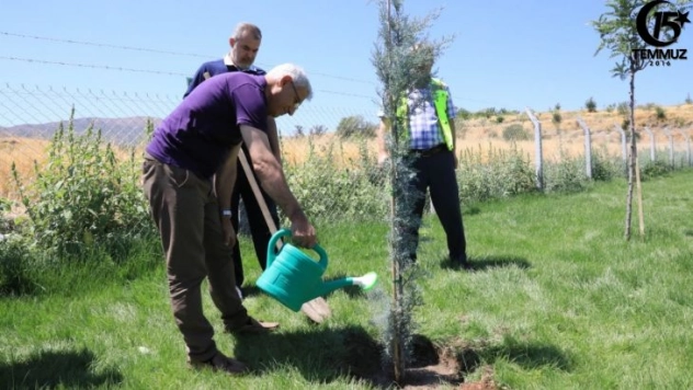 15 Temmuz şehitleri anısına Battalgazi'de 251 fidan dikildi