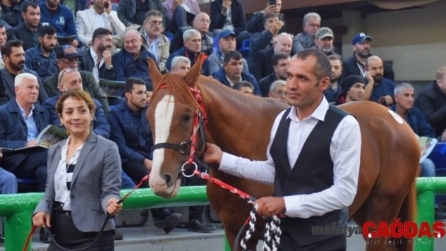 3 milyon 445 bin TL gelir elde edildi