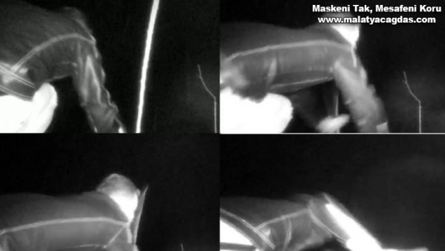 17 bin TL harcadı, ağaçlarını keseni fotokapanla yakaladı