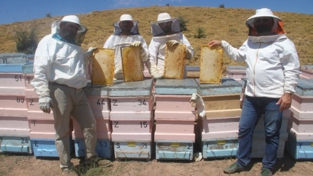 2 bin rakımda doğal 'bal' bereketi