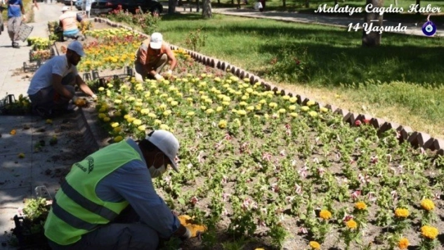 2 milyon 470 bin metrekare yeşil alana bakım