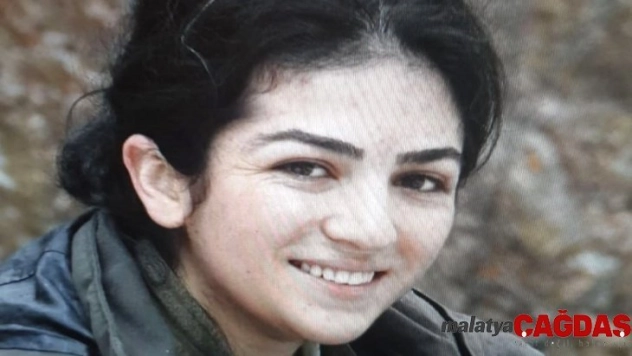 2 MLKP'li terörist Emniyet ve MİT'in ortak operasyonuyla yakalandı