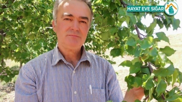 Kayısı rekoltesine itirazlar sürüyor