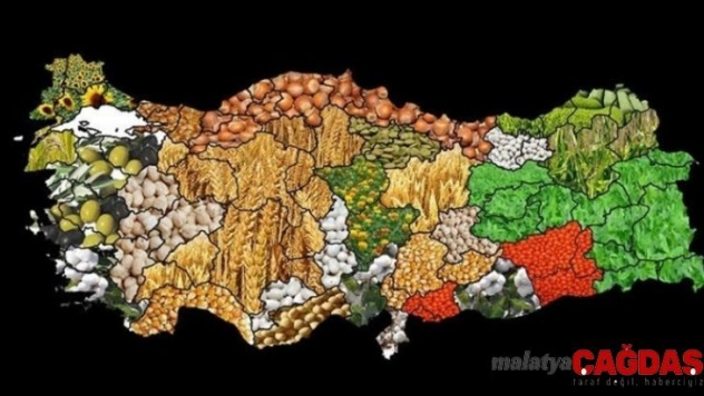 2020 yılında Erzincan'da desteklenecek tarım ürünleri açıklandı