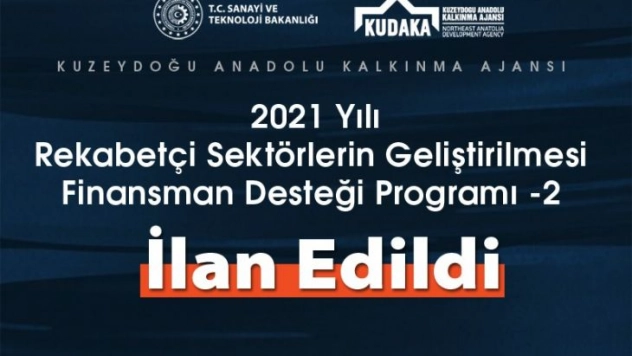 2021 yılı rekabetçi sektörlerin geliştirilmesi finansman desteği programı ilan edildi