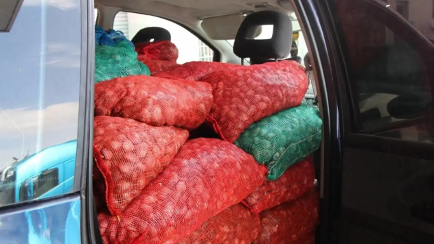 2024'te midye kaçakçılığına 11 milyon ceza