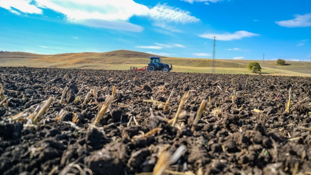 2025'te 60 yeni çeşit tescillendi