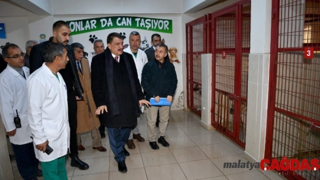 335 sokak hayvanı sahiplenildi