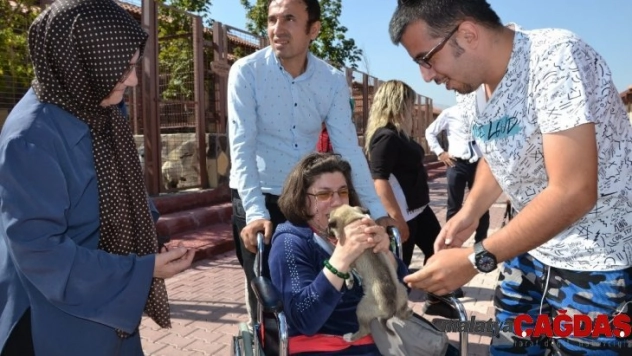 4 Ekim Dünya Hayvanları Koruma Günü