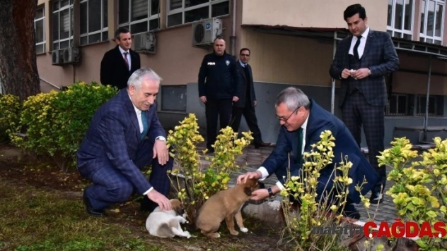 4 yavru köpeğe Saruhanlı Kaymakamlığı sahip çıktı