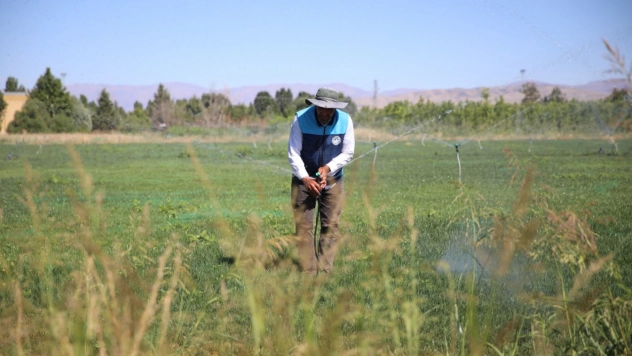 40 Bin Metrekarelik Alanda Yeşil Atılım