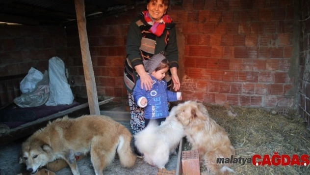 40 yıllık hayvan sevgisini evinin bahçesine taşıdı