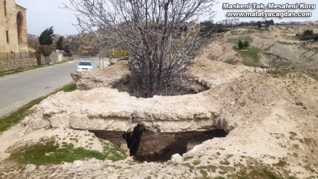 400 yıllık tarihi hamamın içinde incir ağacı
