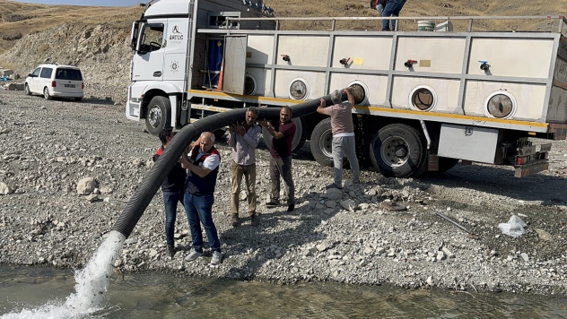 5 ilçedeki 10 baraj ve gölete balıklandırma çalışması yapıldı