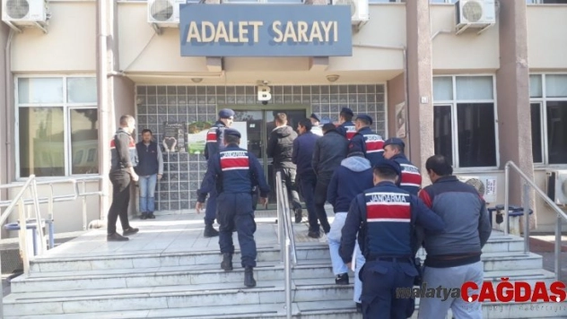 5 ton zeytini çalıp yağını sıktılar